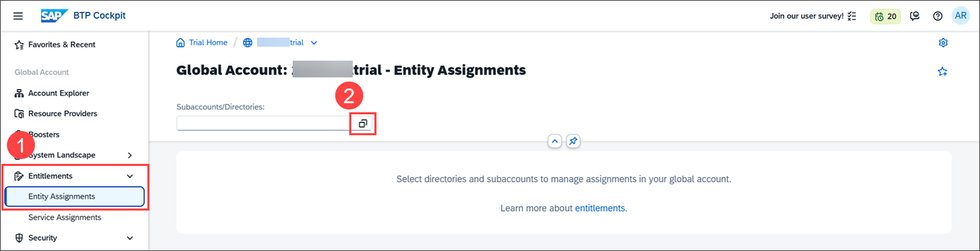 Entitlement to CICD 1