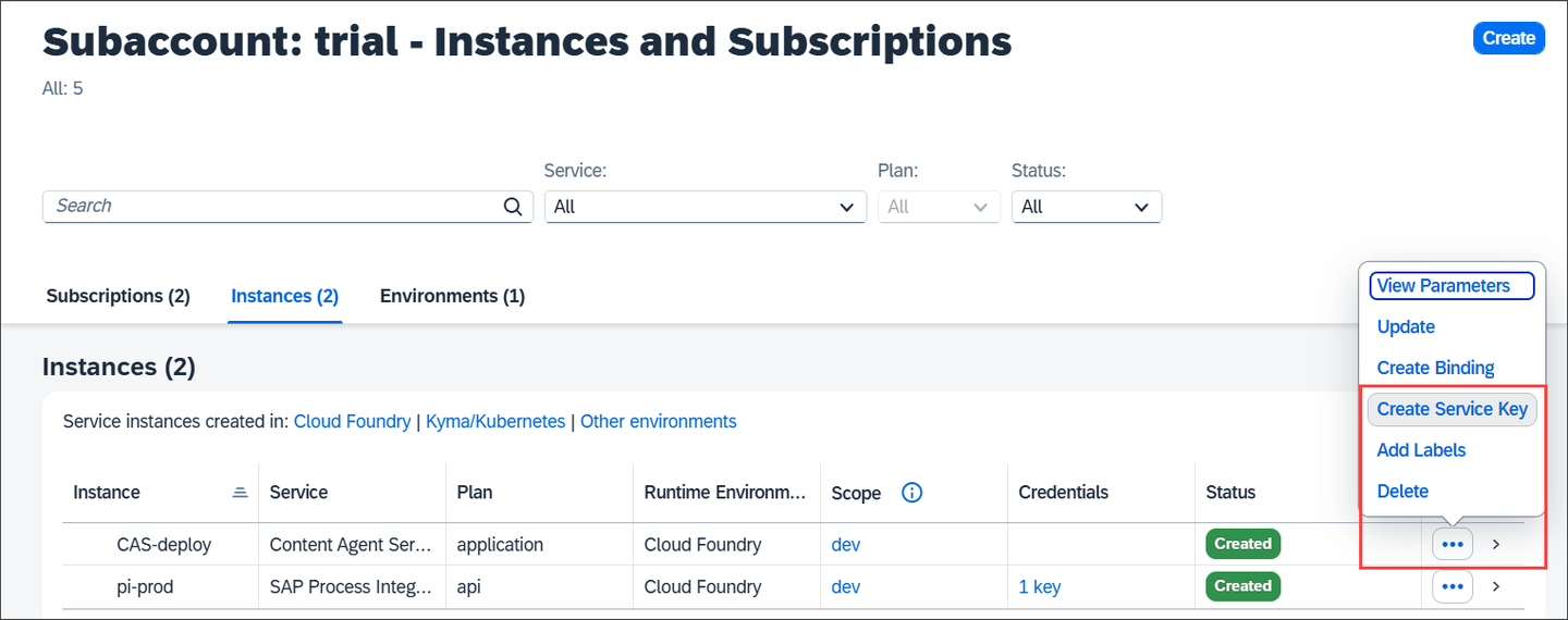 Create CAS Service Key 1