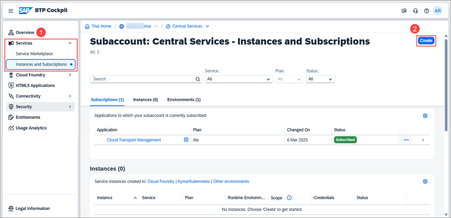ServiceInstance1