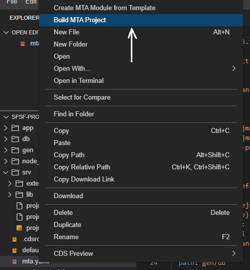 Figure 3 โ Build MTA Project
