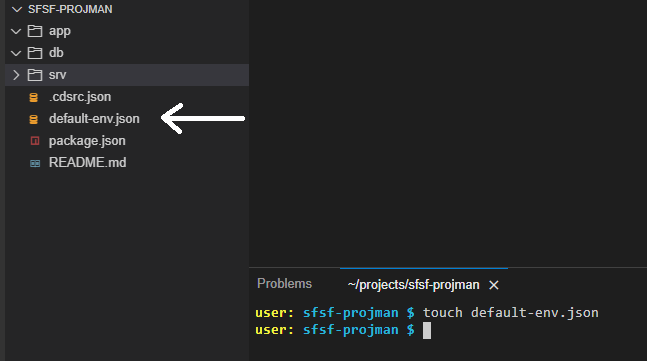 Figure 21 โ Create default-env.json file