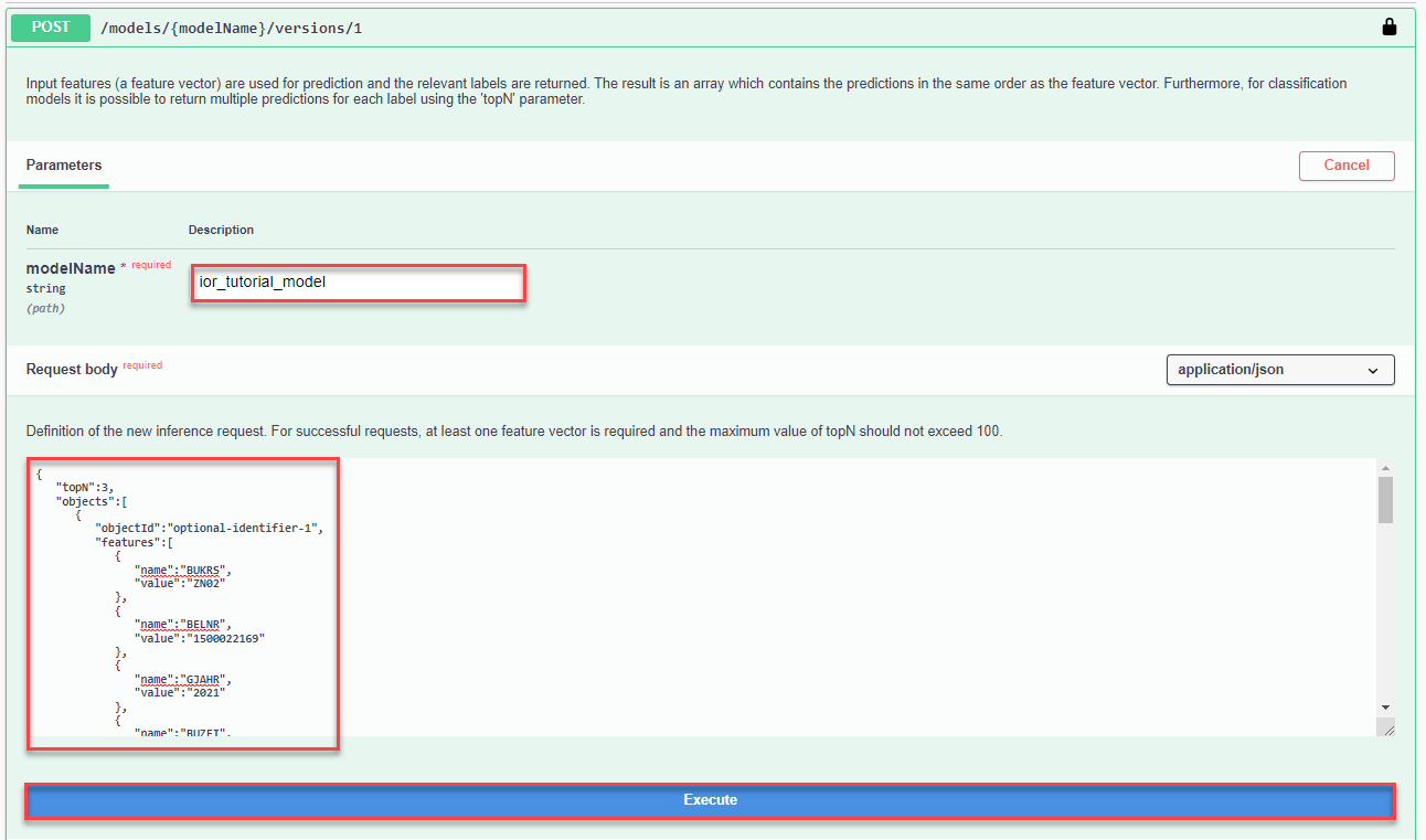 Inference Execute