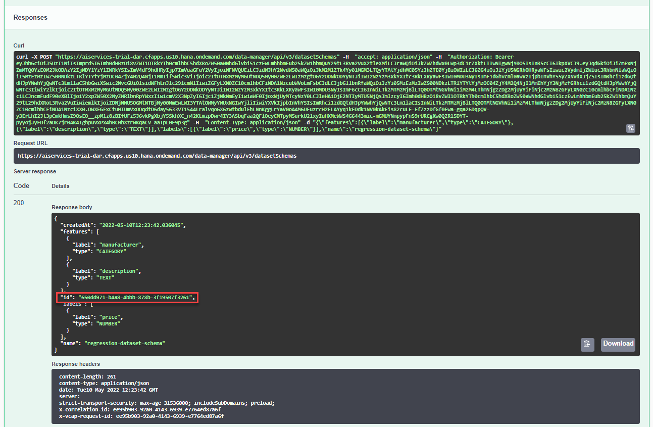 Dataset Schema Response