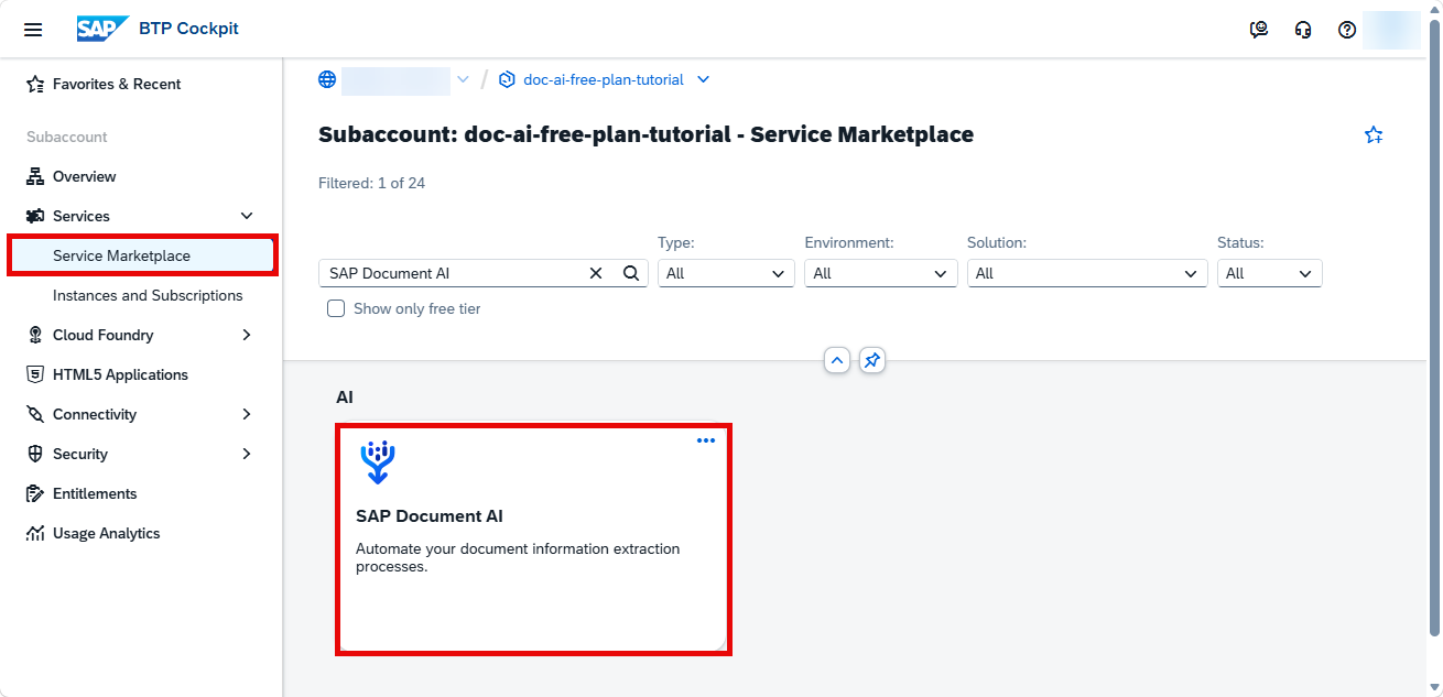 Access Service