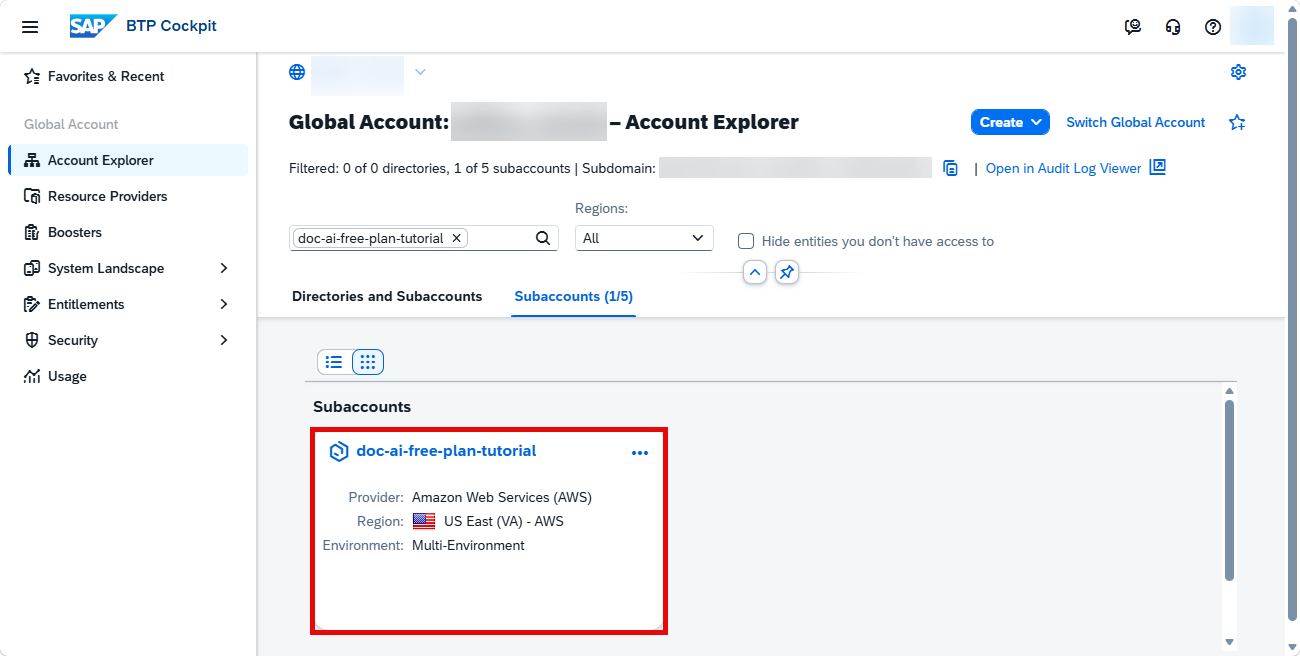 Access Subaccount