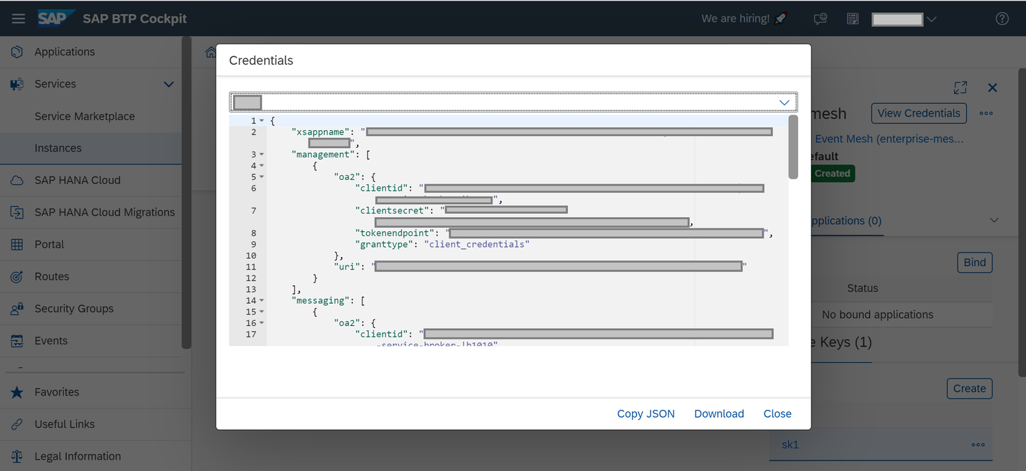 View the created Service Key
