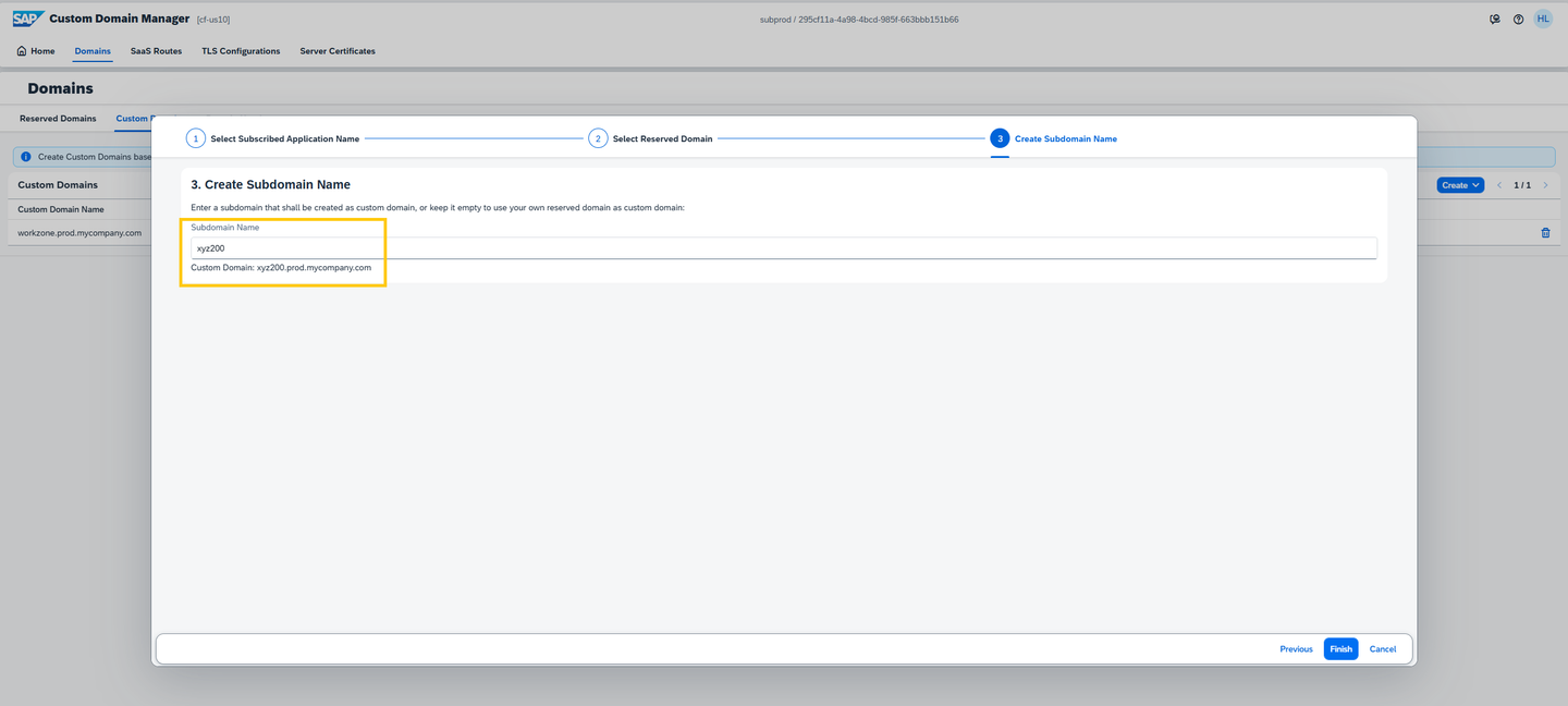 Custom domain for runtime destinations