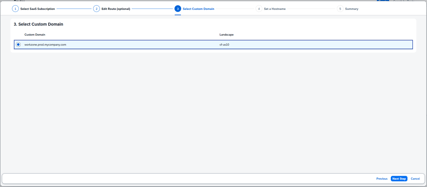 Select custom domain