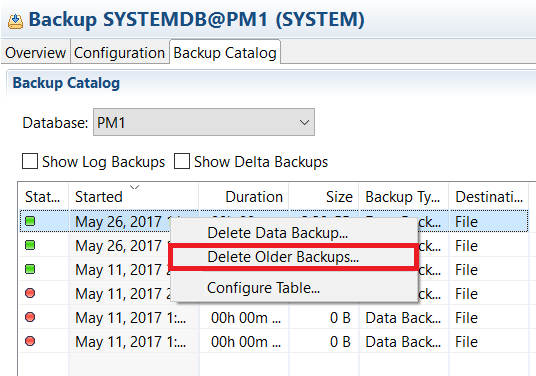 Delete Older Data