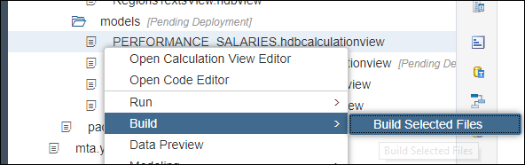 New calculation view