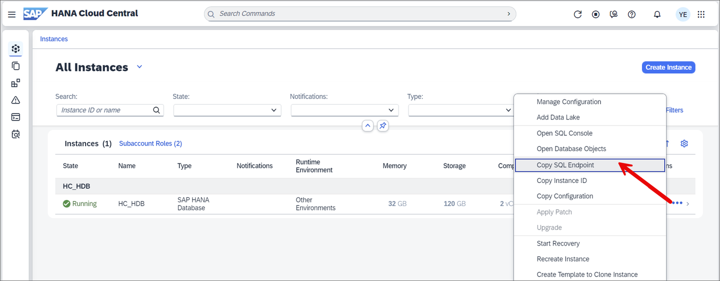 SQL Endpoint