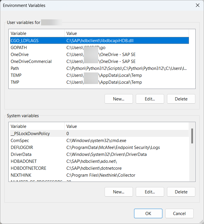 Set Environment Variables