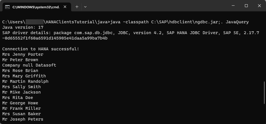 Java Query