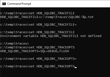 Environment Variable Values