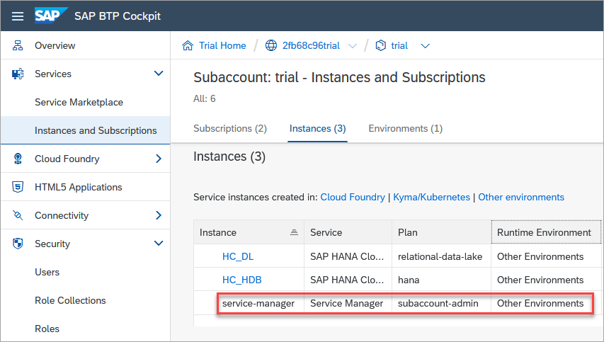 create a service manager instance