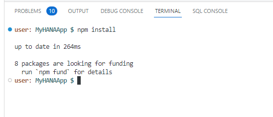 npm install