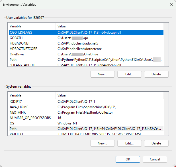 Set Environment Variables