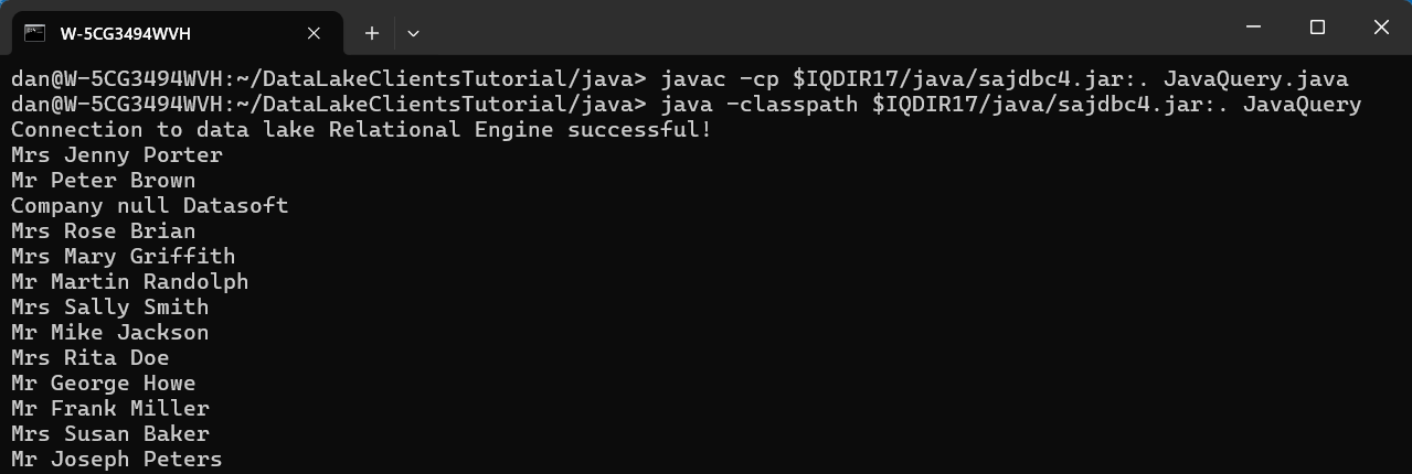Java Query