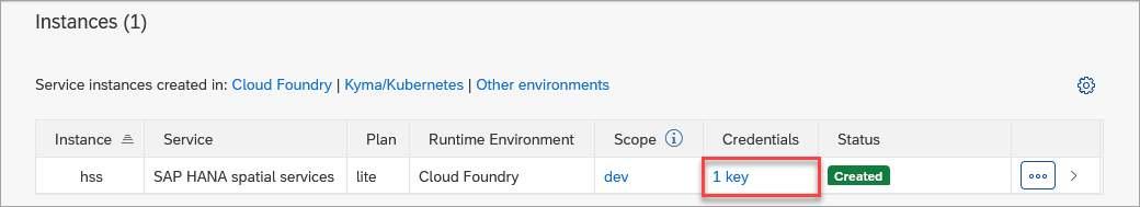 Access the service key