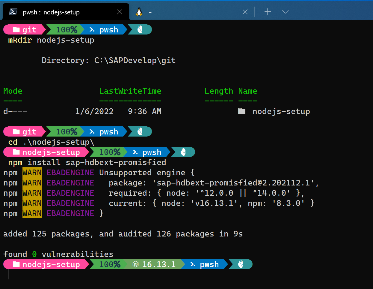 npm install