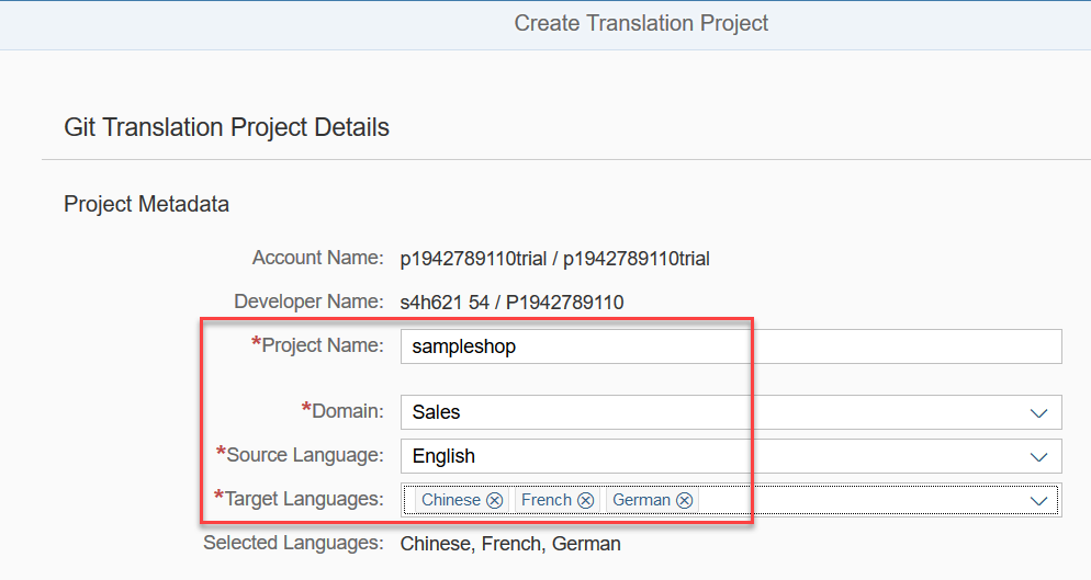 Enter translation project details
