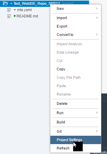 Project Settings for Git repository