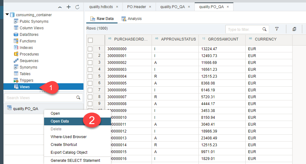 See database explorer