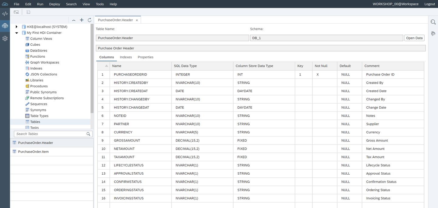 Container in Database Explorer