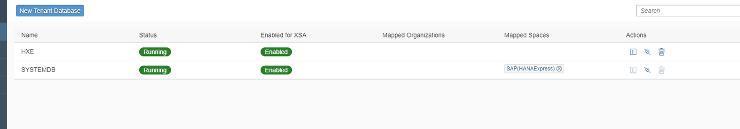 Tenant database credentials