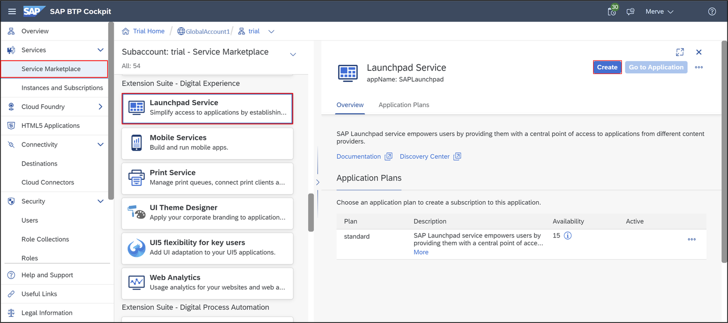 Run launchpad service