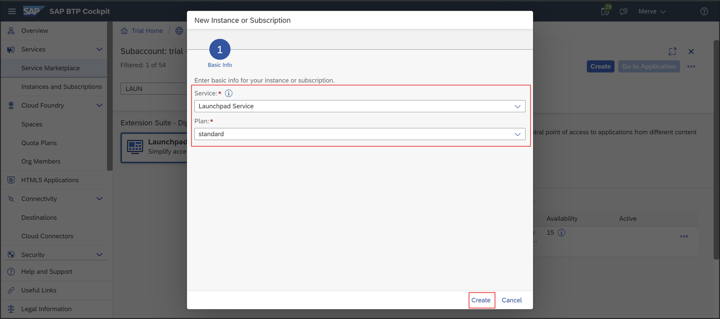Run launchpad service