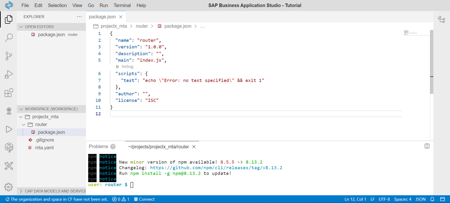 Package JSON