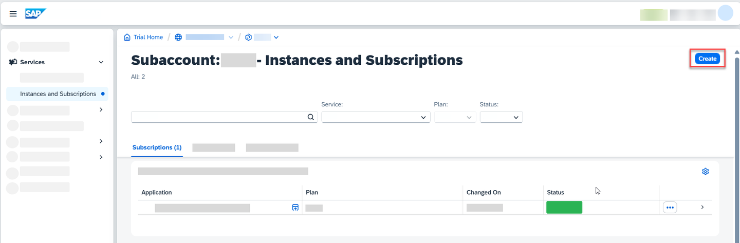 Instances & Subscriptions