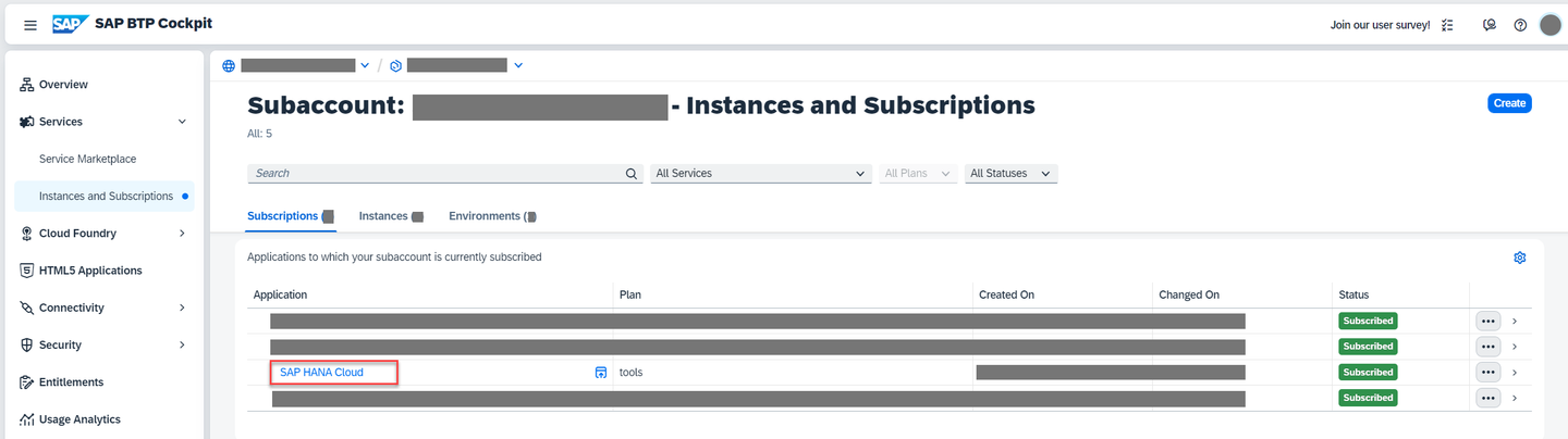 SAP HANA Cloud Go to application
