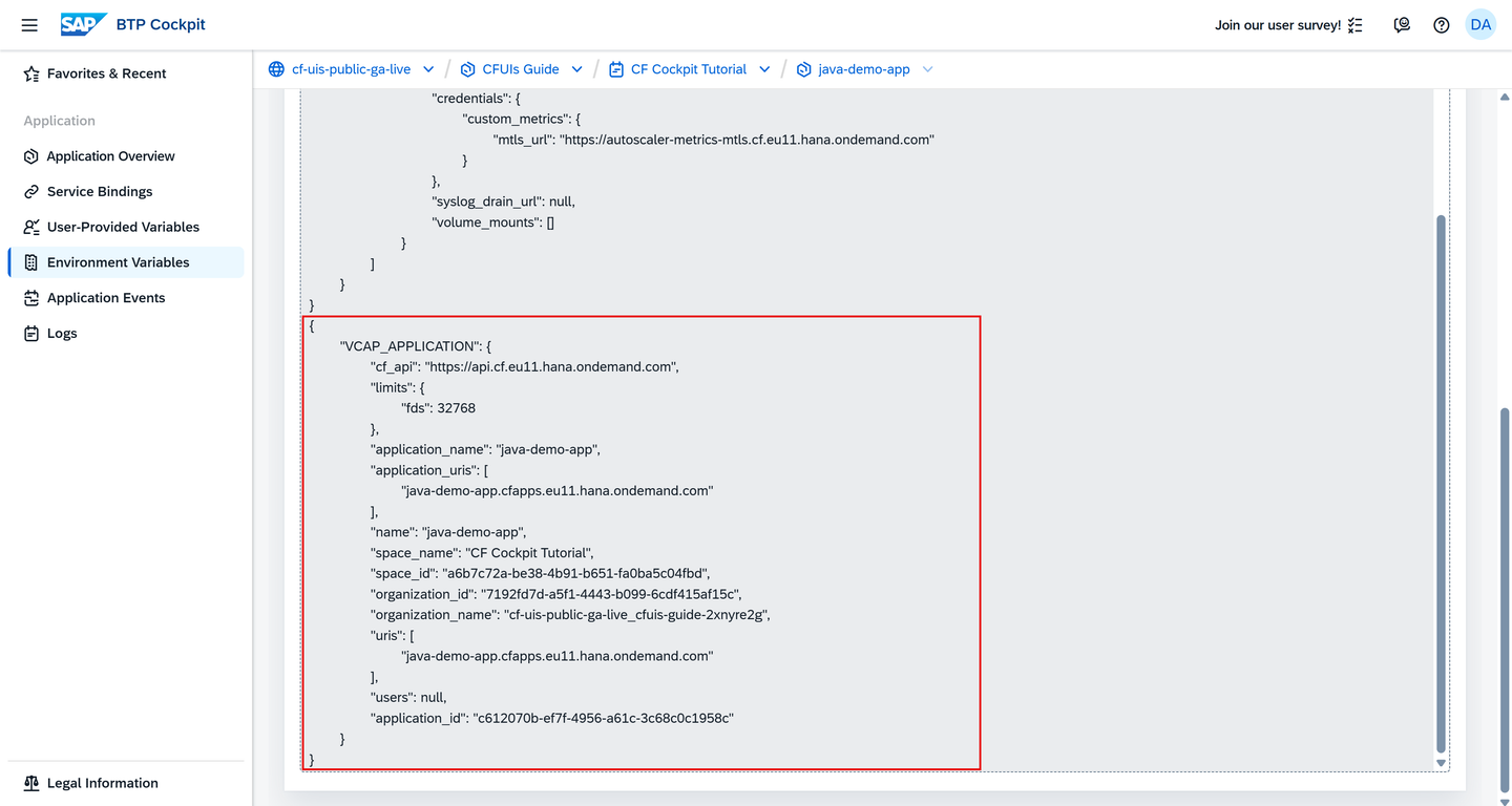 VCAP_APPLICATION System-Provided Variable