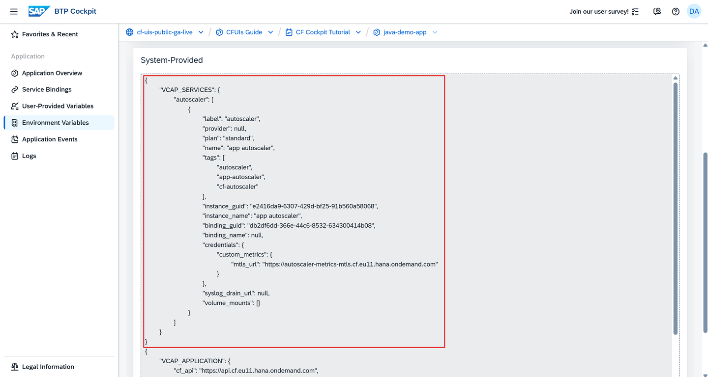 VCAP_SERVICES System-Provided Variable