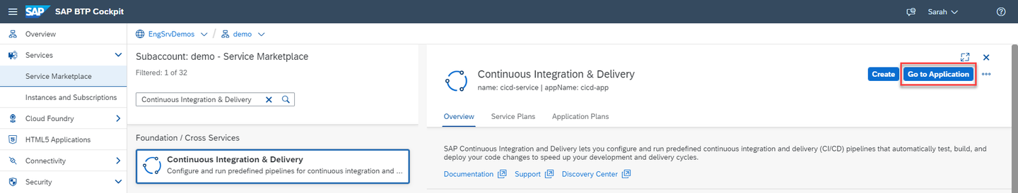 Accessing the CI/CD service