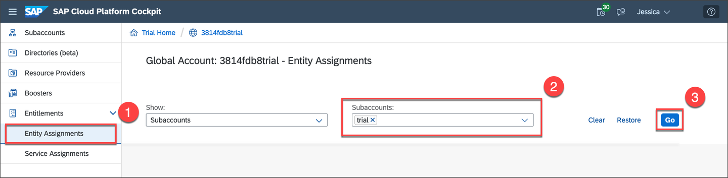 Entity Assignment Choosing Trial
