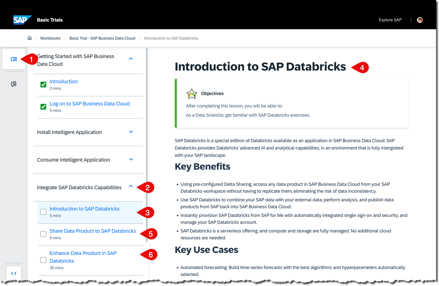 Introduction to SAP Databricks